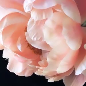 Meet your Posher, Myki